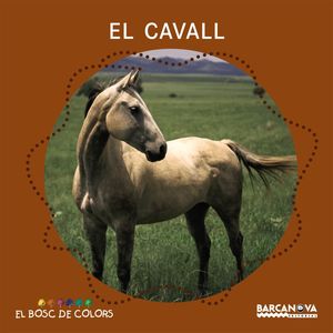EL BOSC DE COLORS: EL CAVALL